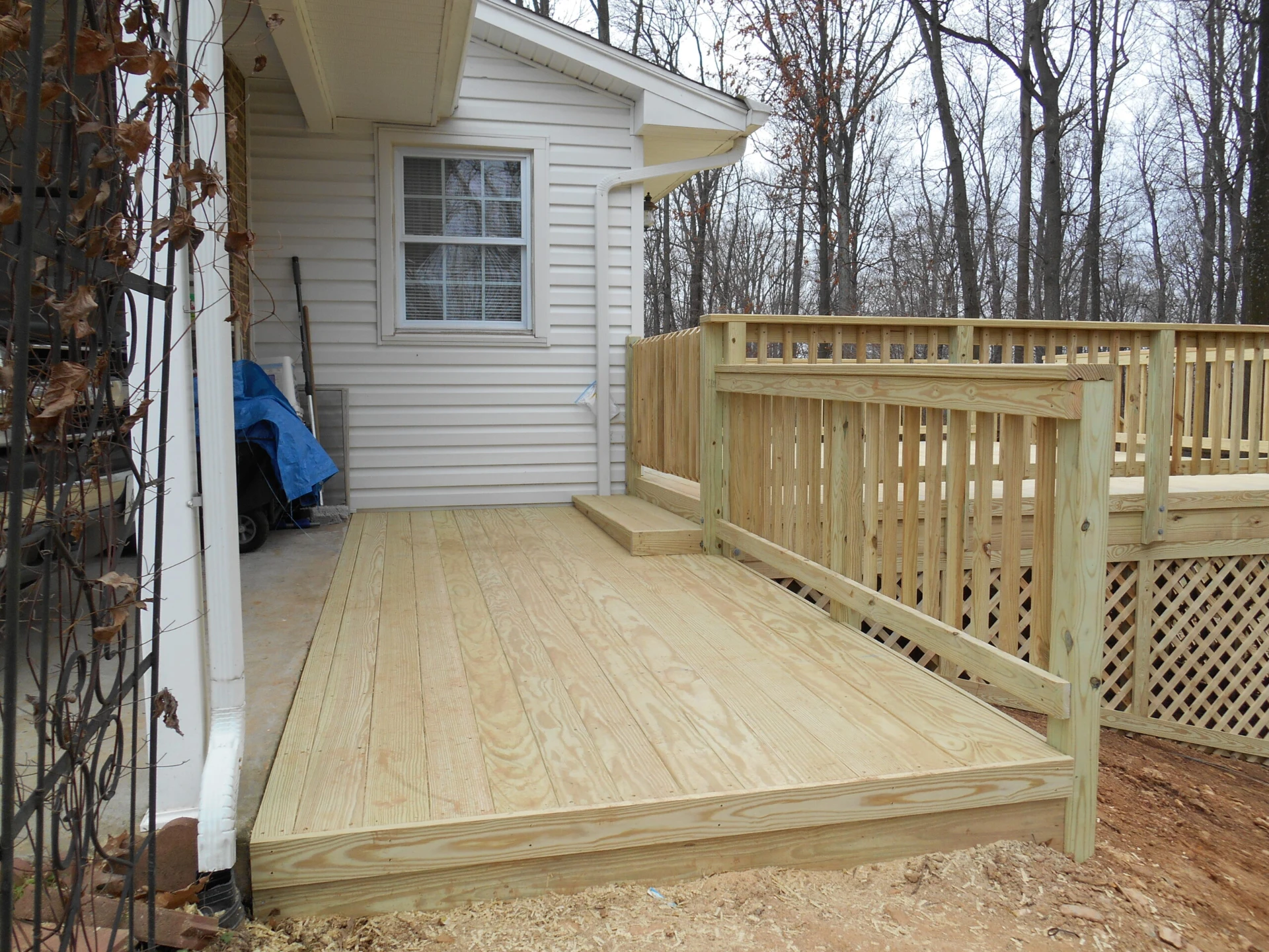Bamboo deck with bamboo railing and skirting