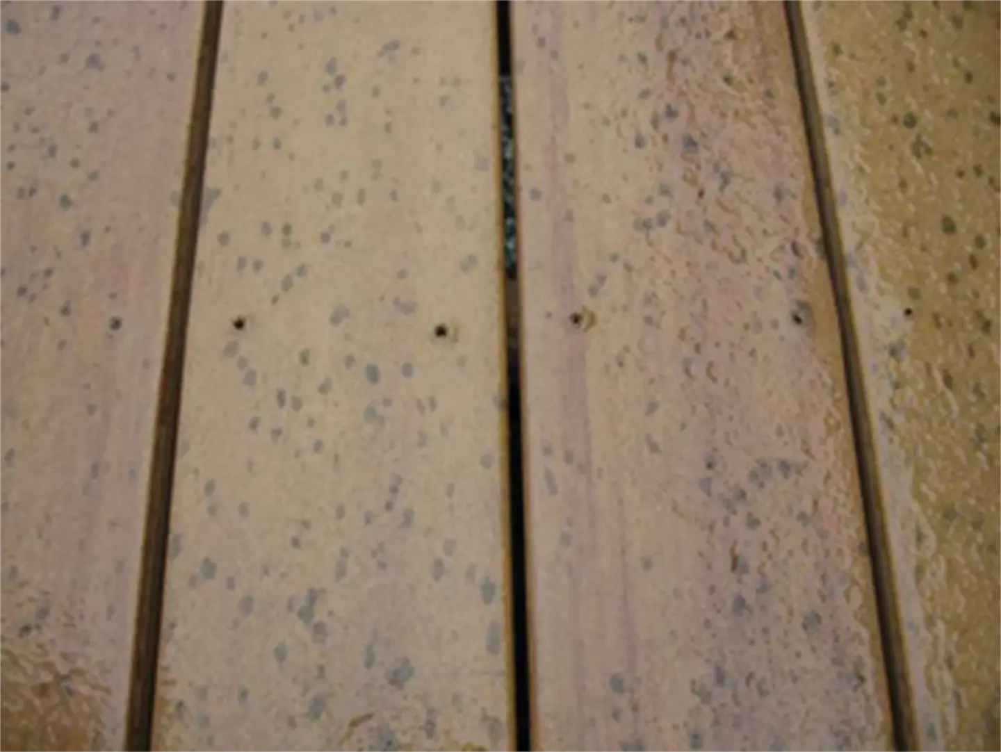 Imgi 2 moldy composite2