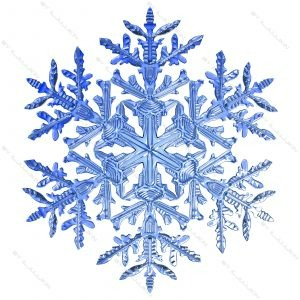Imgi 3 snowflake 3 3bb405489 da5c 4bb7 b5e7 295bdc7ef335Original 300x300